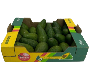 Buy Avocado Fuerte Box Onlin