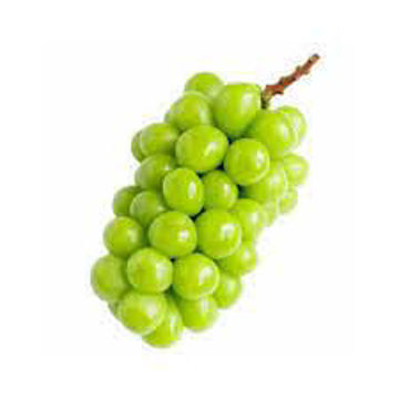Picture of Shine Muscat White Grapes