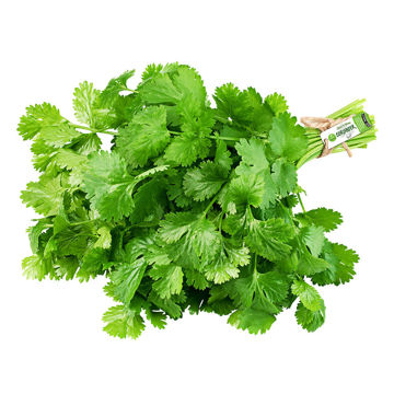 Picture of Leto Coriander Bunch 70g