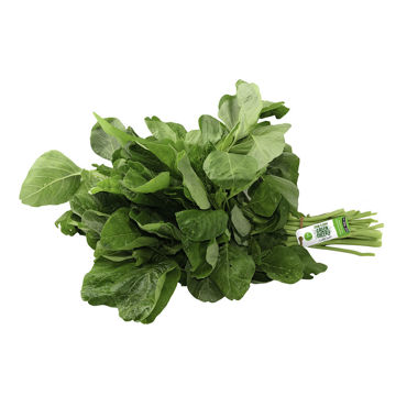 Picture of Leto Green Cheera Bunch 70g