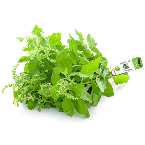 Picture of Leto Holy Basil (Tulsi) Bunch 70g