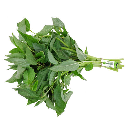 Picture of Leto Molokhia (Paat Saag) Bunch 70g
