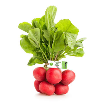 Picture of Leto Red Radish Bunch 70g