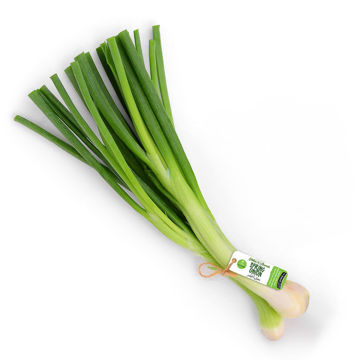 Picture of Leto Spring Onion Bunch 200g