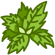 Picture for category Herbs