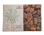 Picture of Nuwar Premium Rabiya Dates 1 Kg