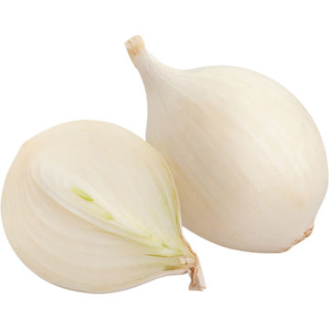 Picture of Onion White Turkey