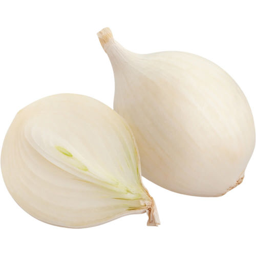 Picture of Onion White Turkey