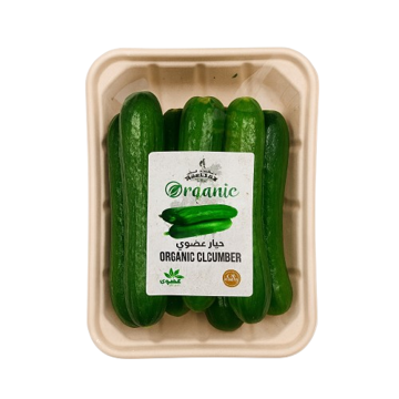 Picture of Organic Cucumber 500g