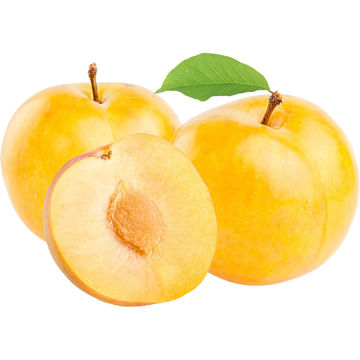 Picture of Plums Yellow 500g