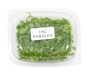 Picture of Parsley Cress 15g