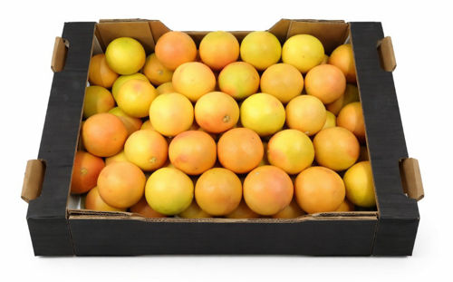 Buy Grapefruit Online
