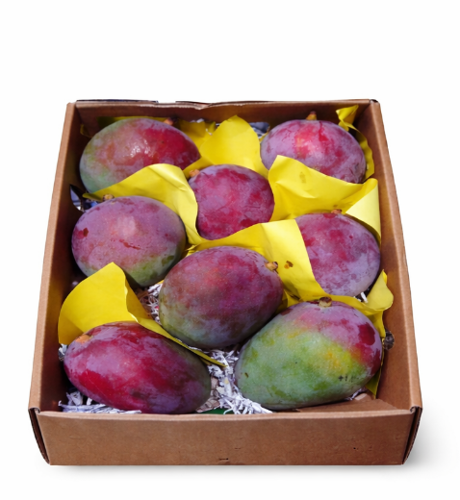 Picture of Mango Kent Box