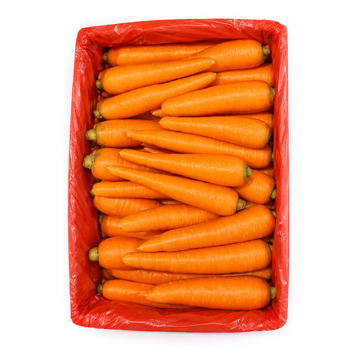 carrot box china