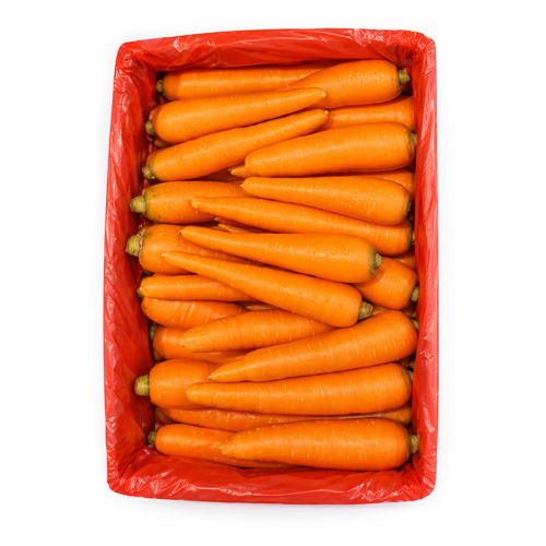carrot box china