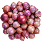 onion premium