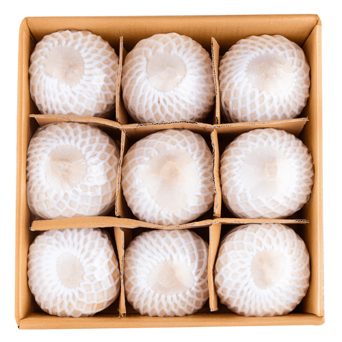 Thailand coconut online