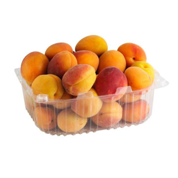 Picture of Apricot