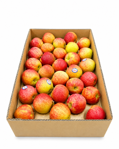 buy Tukey apple online
