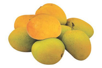 Picture of Mango Alphonso