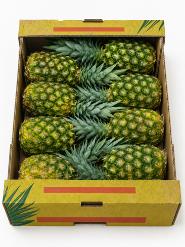Picture of Pineapple Philippines Box