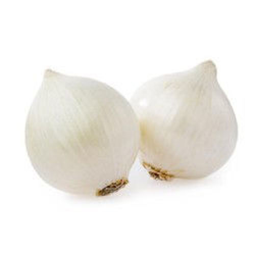 Picture of Onion White 1kg