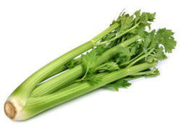 Picture of Celery 1kg