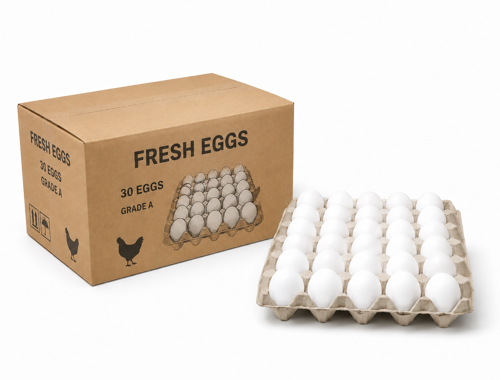 Picture of Indian White Eggs – Box of 12 Trays