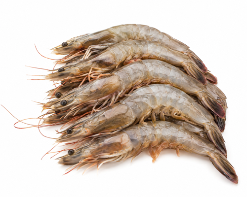 Picture of Shrimps Head-On Small 1kg
