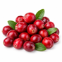 Picture of Fresh Cranberry 340g